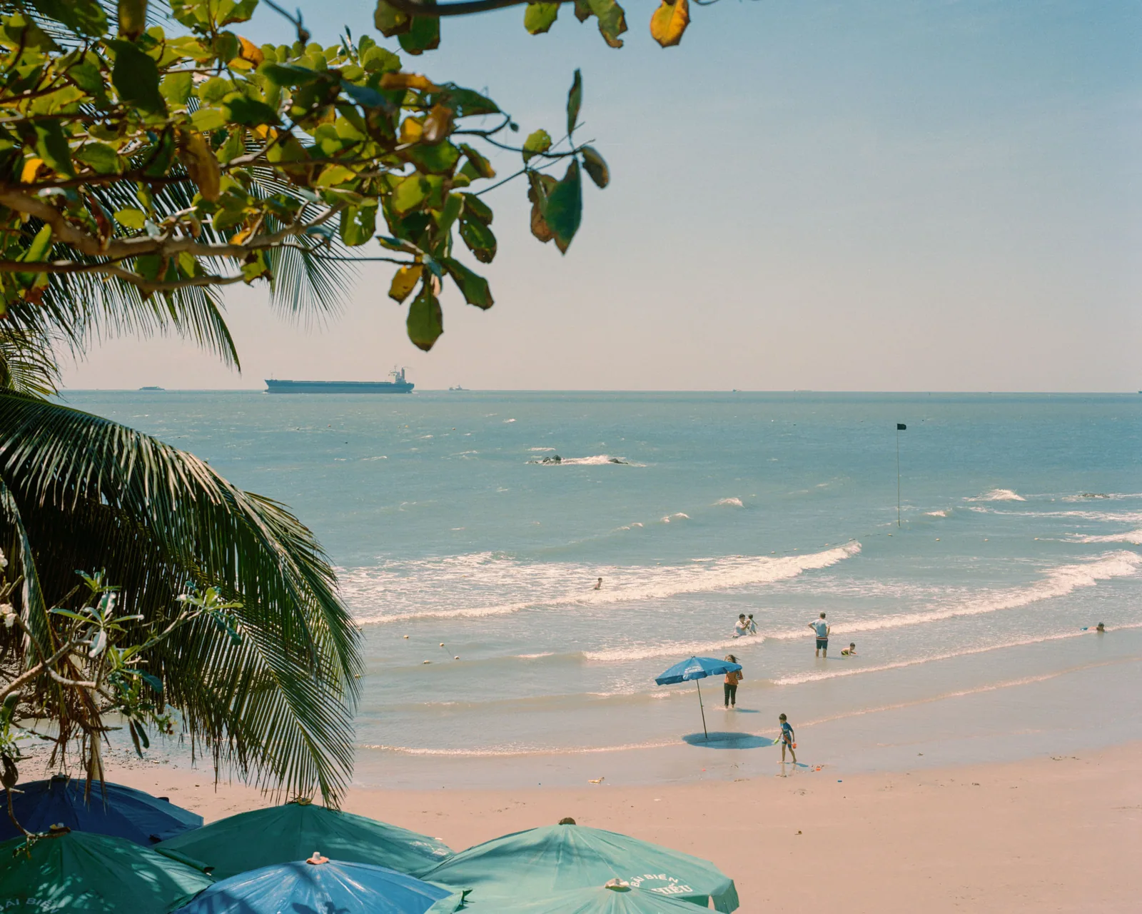 Vung Tau Beach Swimmer