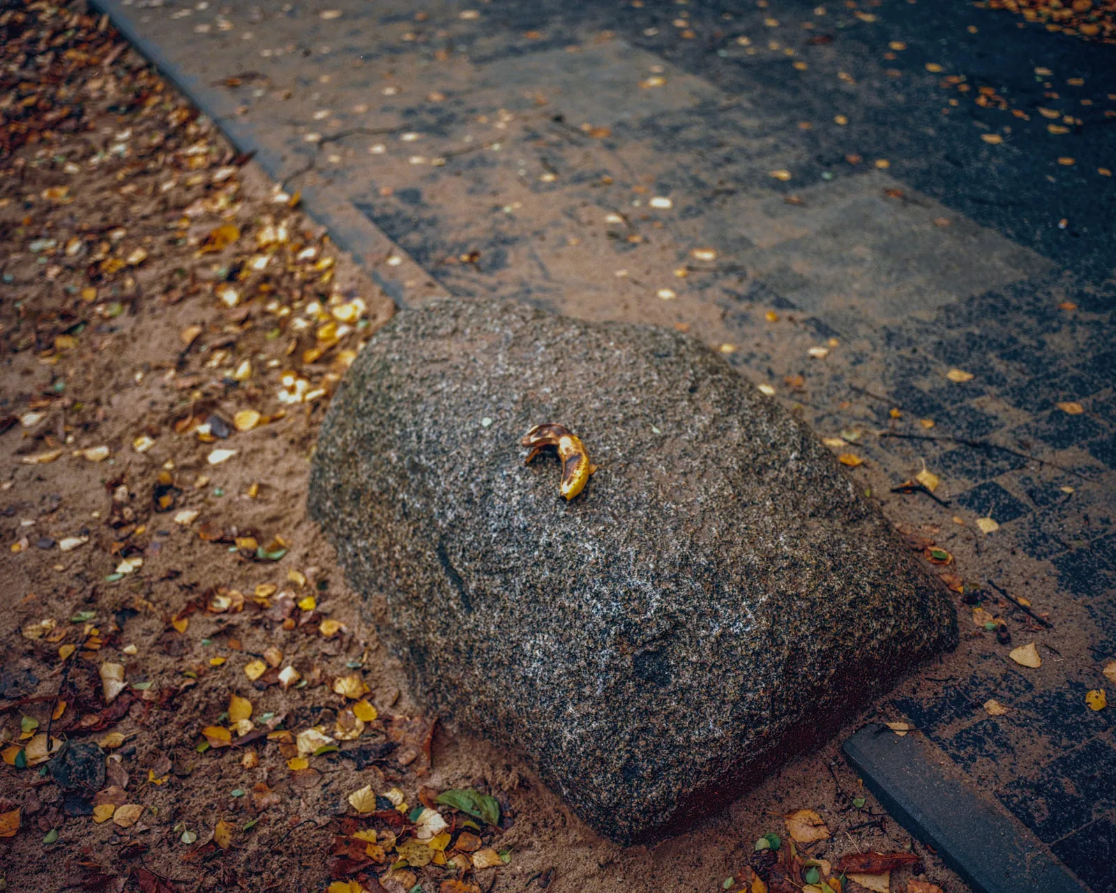 Prenzlauer Berg Banana In The Park