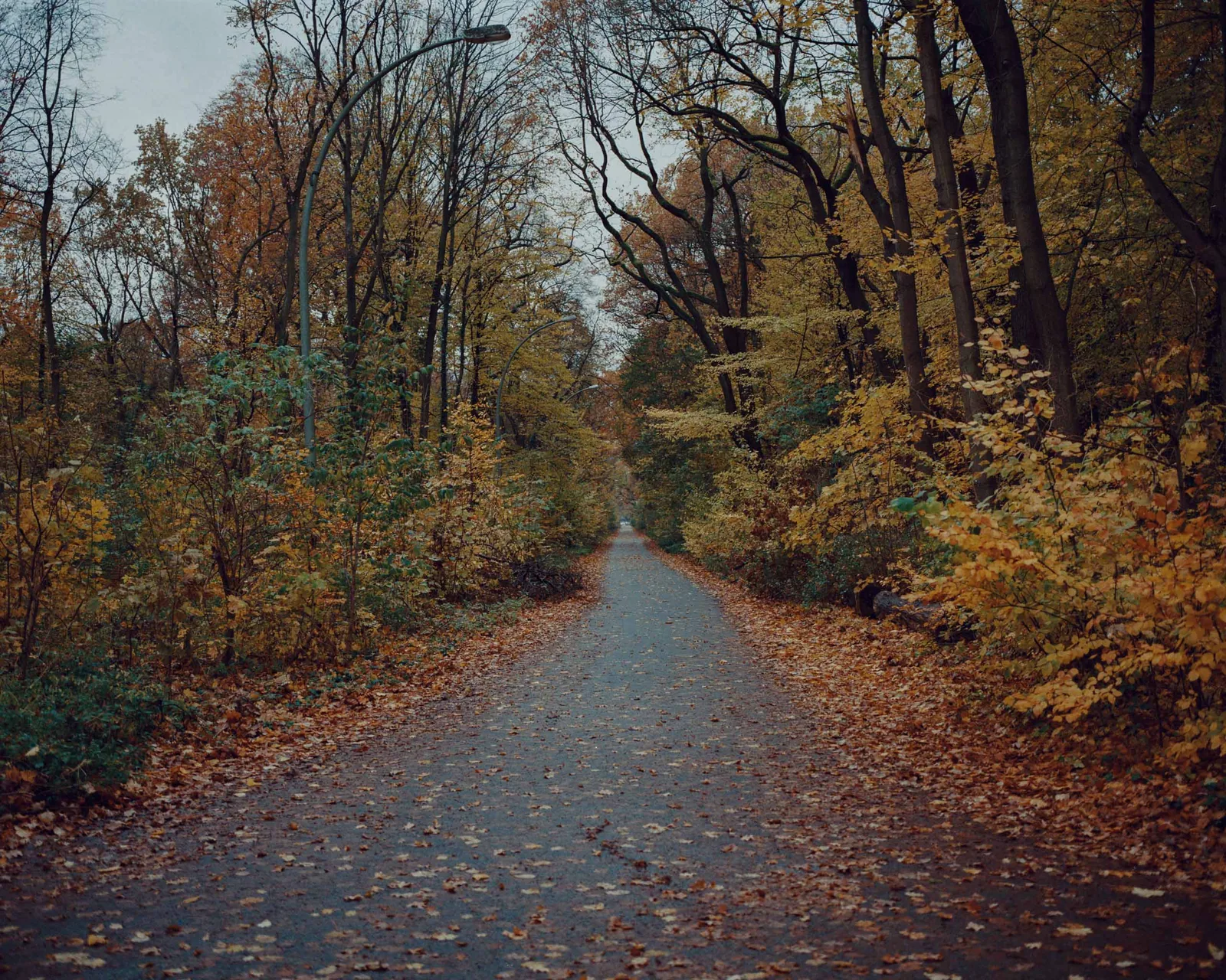 Spree Park Road